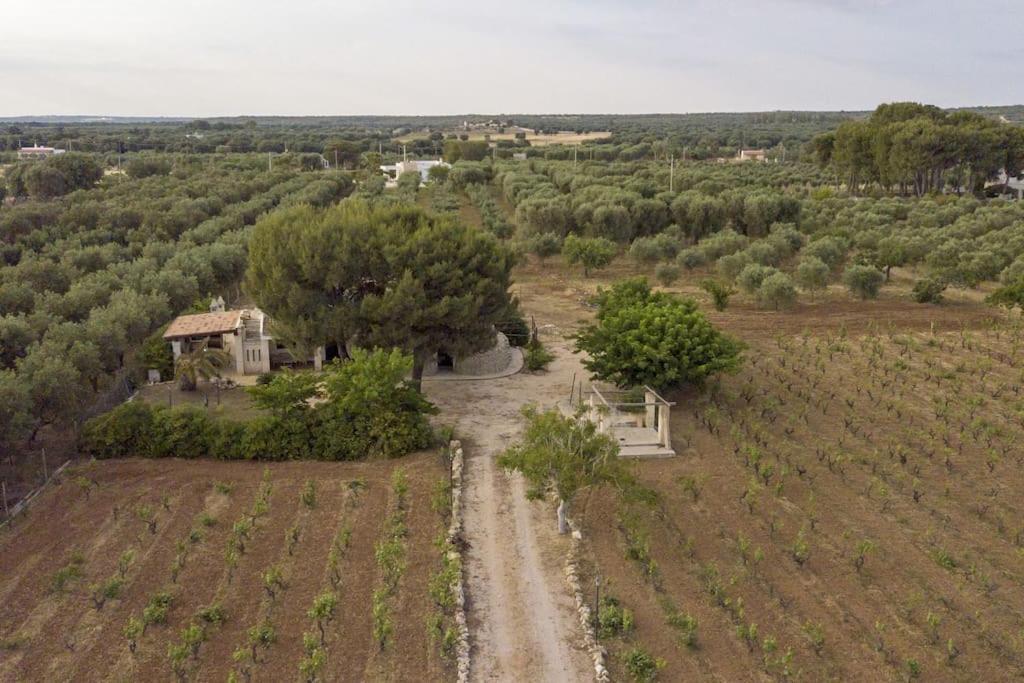 Villa Principe Degli Olivi Maruggio Luaran gambar